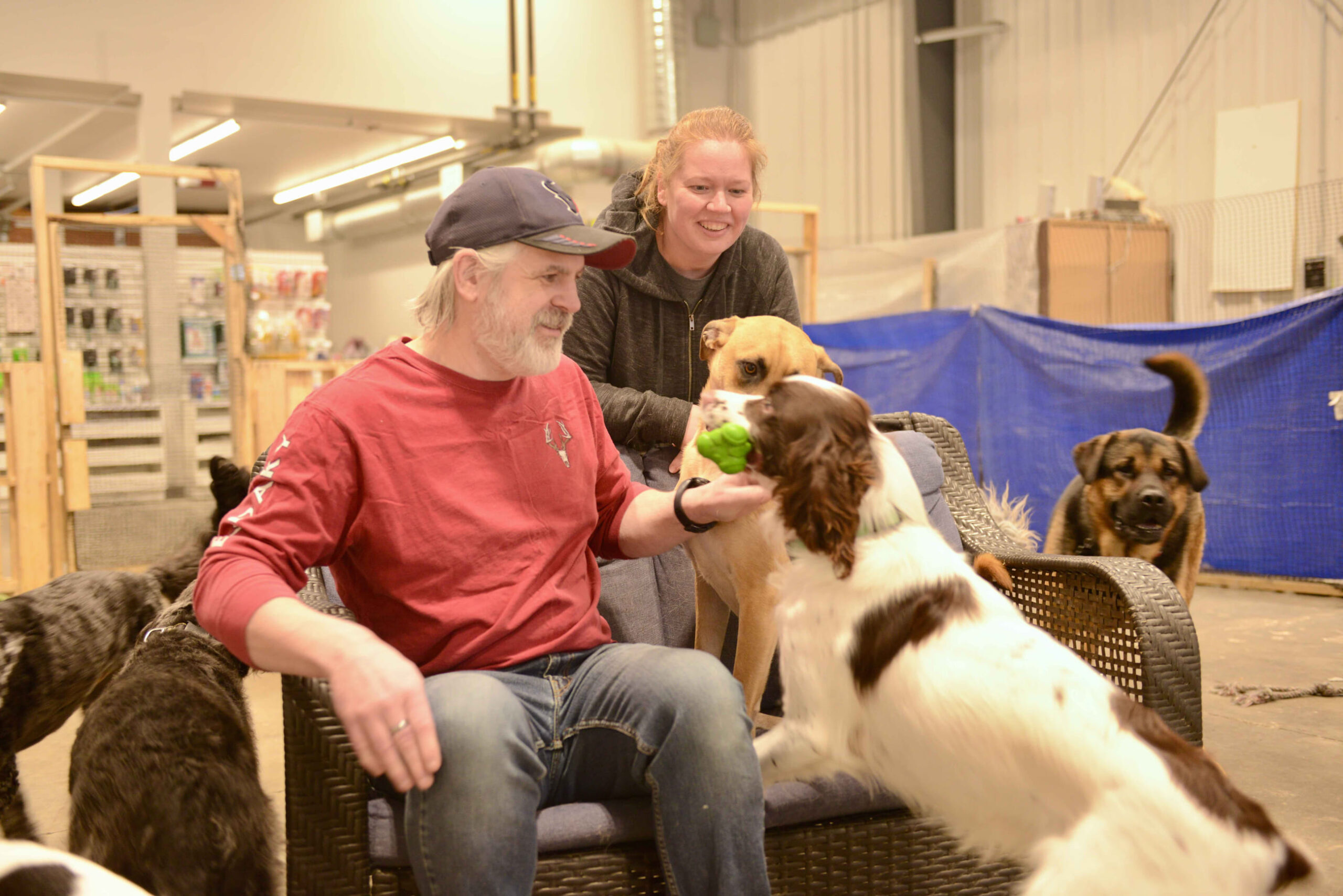 Jasper doggy daycare business a diamond in the ruff News