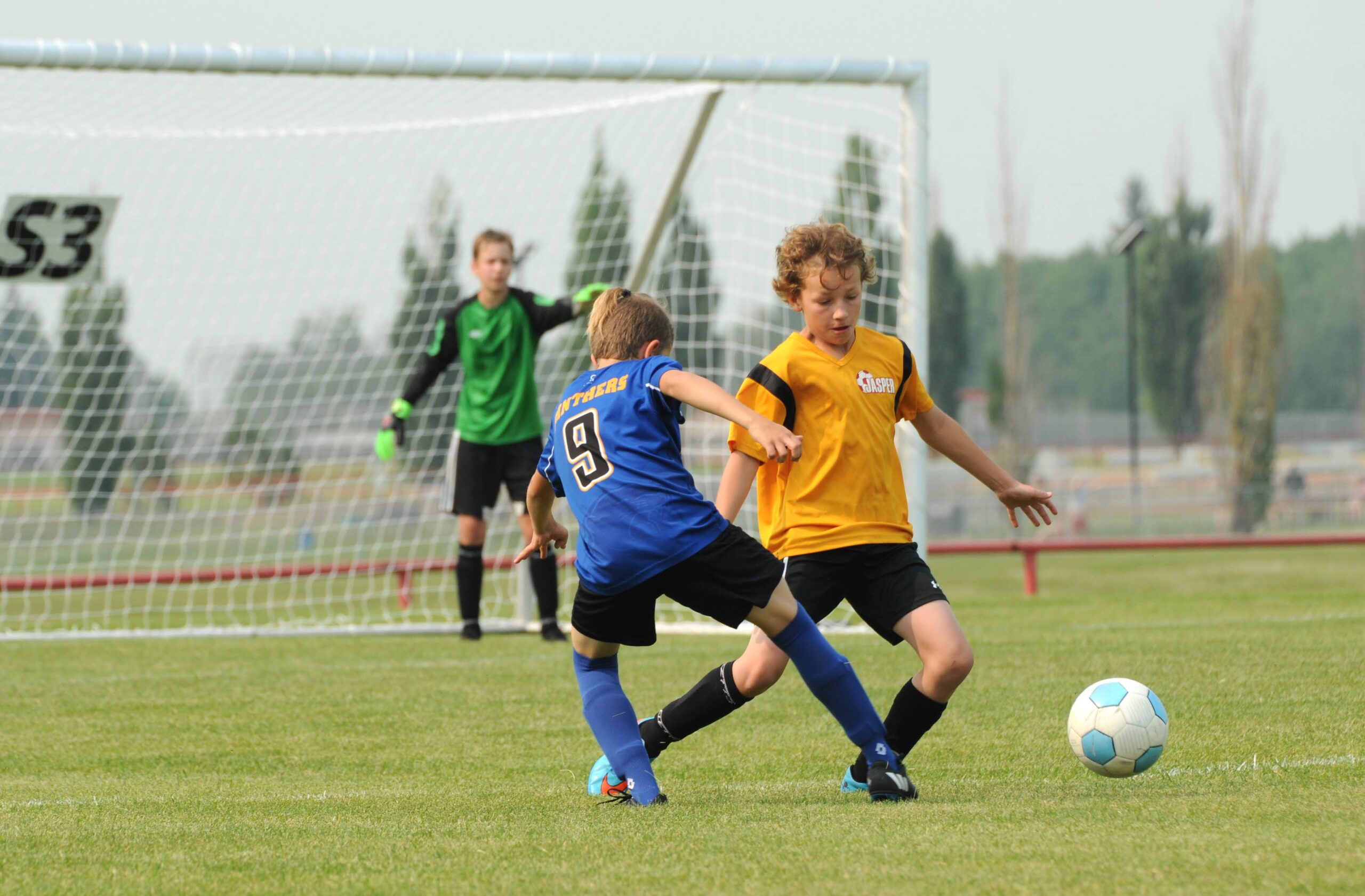 Mountain GOATS: Jasper soccer stars bring home Alberta gold - News