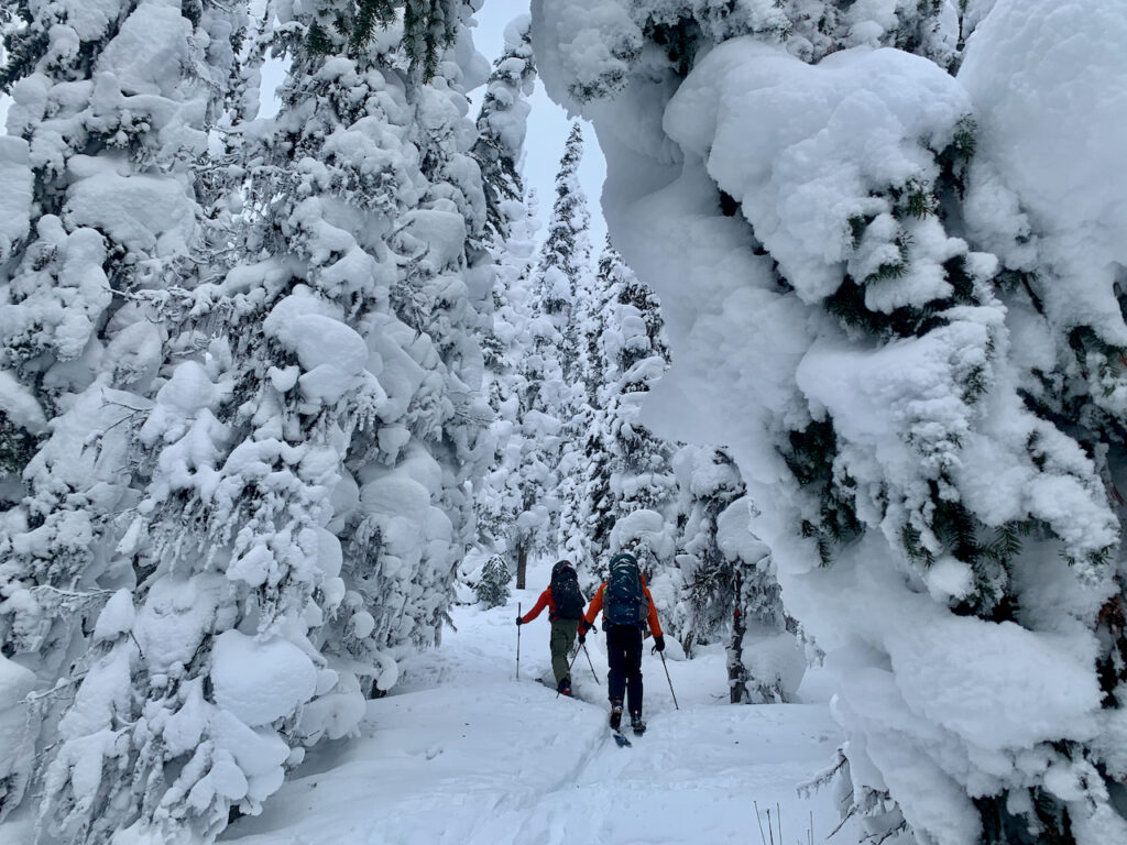 Special avalanche warning issued for ab and b c news